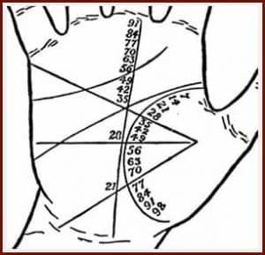 palmistry1