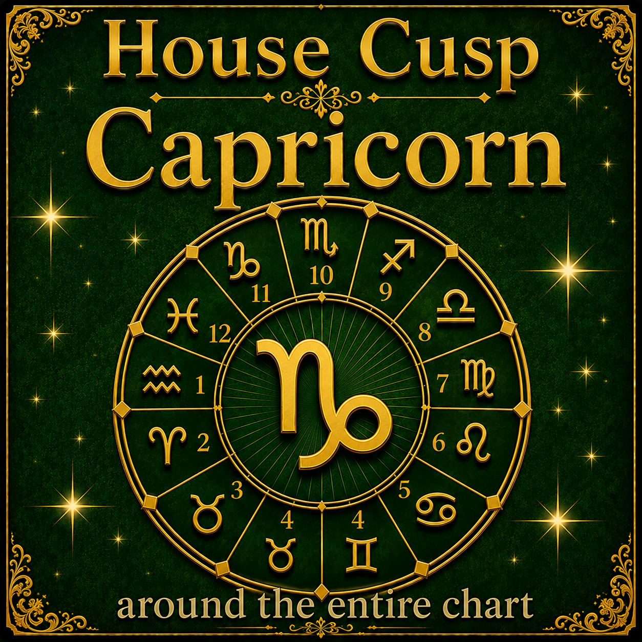 Capricorn Through the Houses
