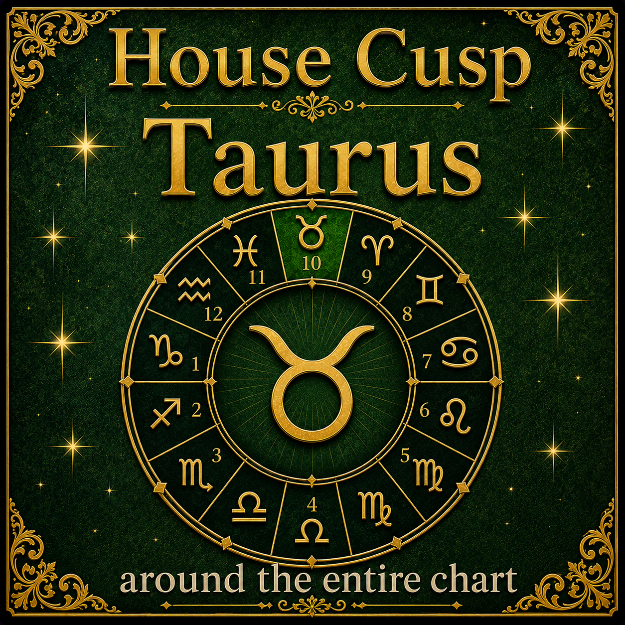 Taurus Through the Houses