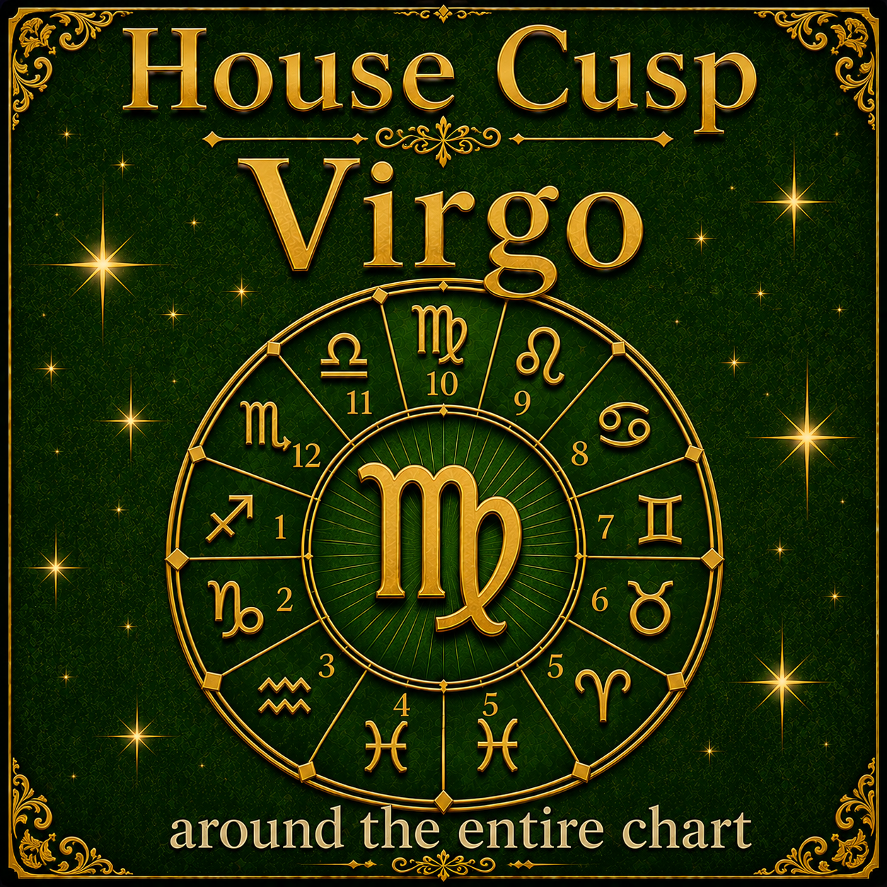 Virgo Through the Houses